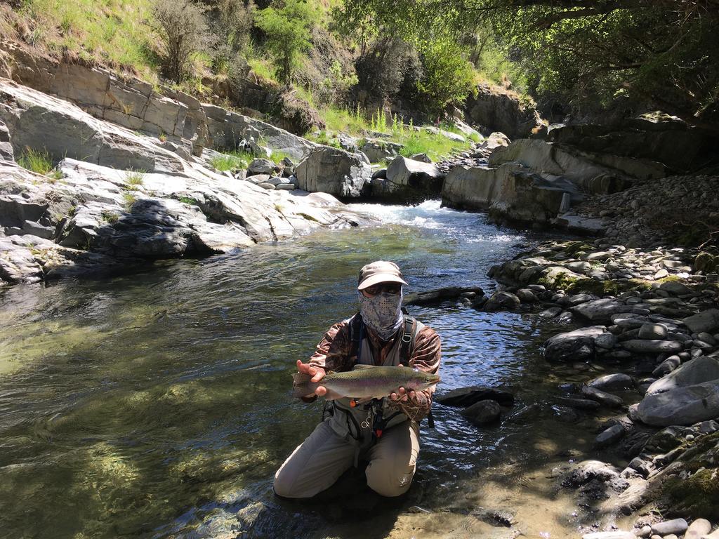 Glendeer Lodge Timaru Eksteriør billede